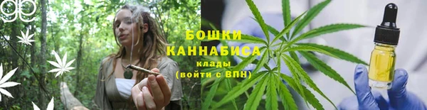 МДПВ Карпинск