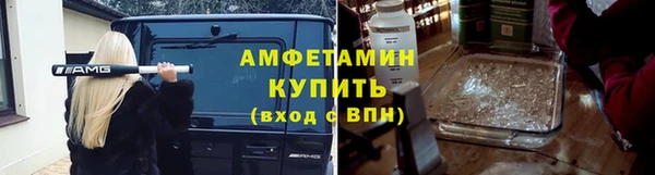 амф Касимов