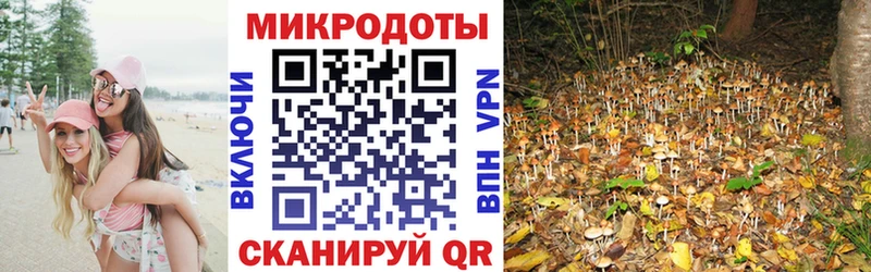Галлюциногенные грибы прущие грибы  Ялта 